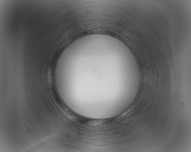 X0000076430086200610061010