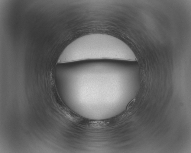 X0000076430087200610061010