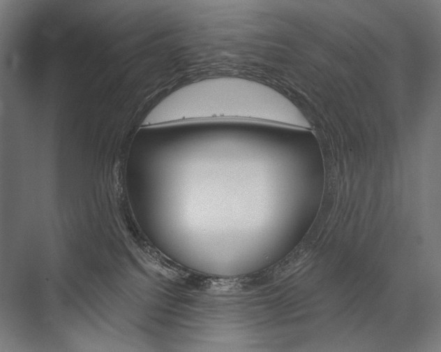 X0000076430088200610061010