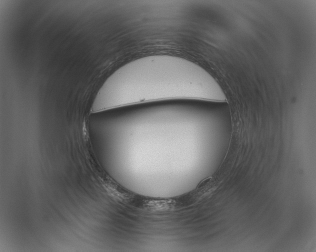 X0000076430089200610061010