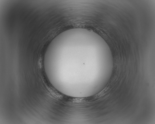 X0000076430090200610061010