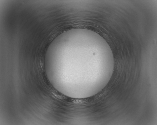 X0000076430091200610061010