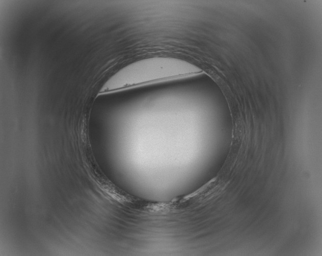X0000076430092200610061010