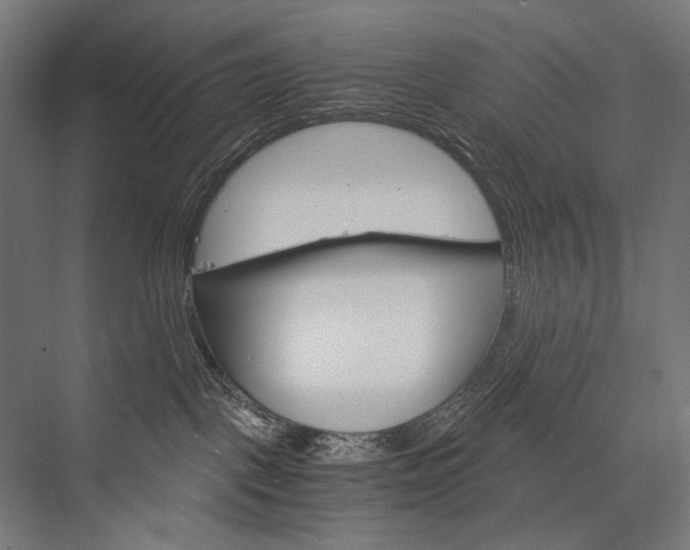 X0000076430093200610061010