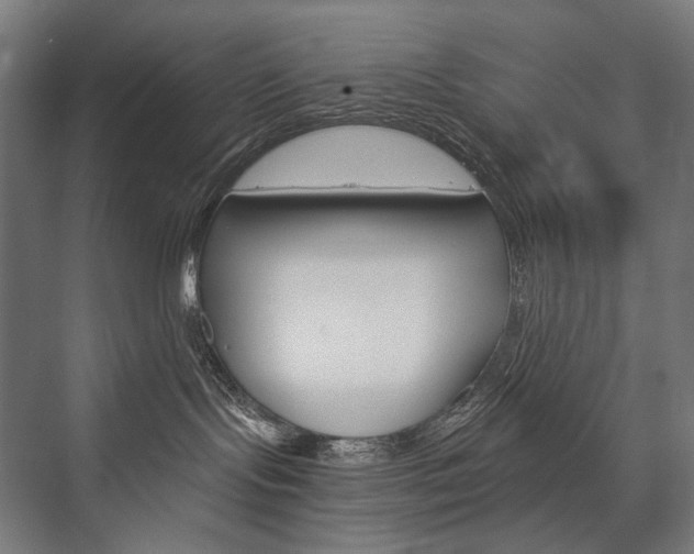 X0000076430095200610061010