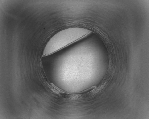 X0000076430096200610061010