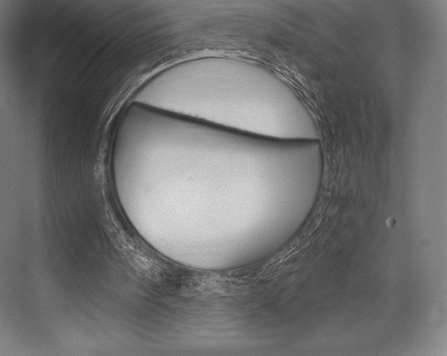 X0000076430098200610061010