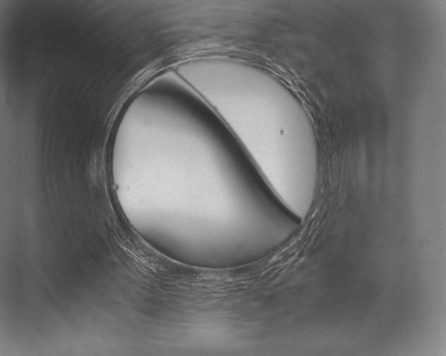 X0000076430099200610061010