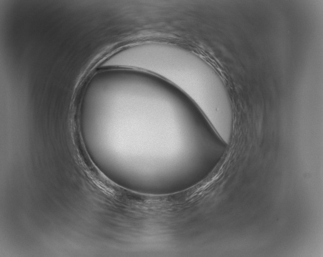 X0000076430101200610061010