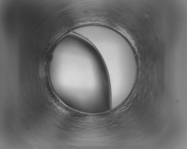X0000076430105200610061009