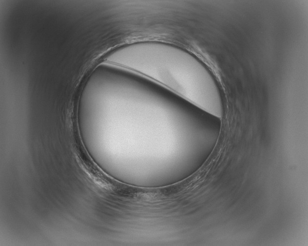 X0000076430107200610061009