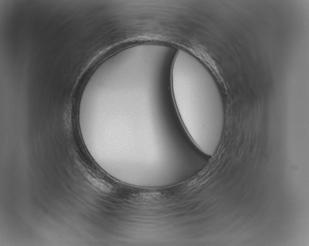 X0000076430108200610061009