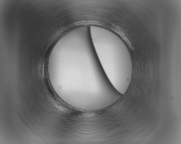 X0000076430110200610061009