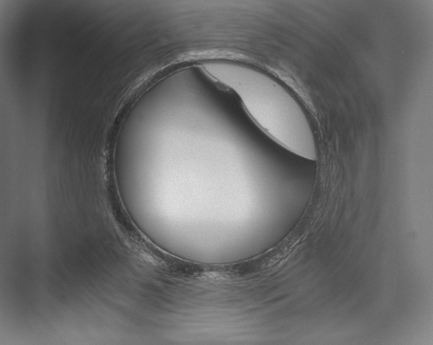 X0000076430111200610061009