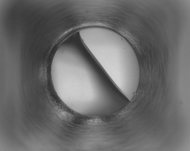 X0000076430112200610061009