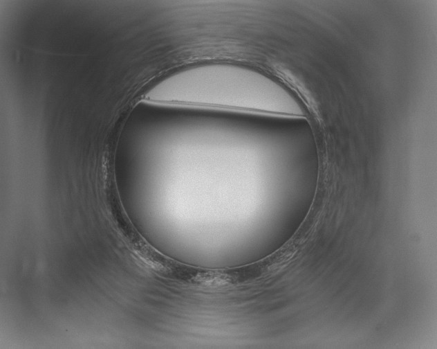 X0000076430113200610061009