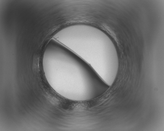X0000076430115200610061009