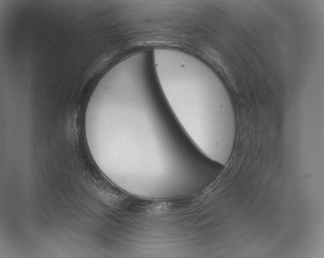 X0000076430116200610061009