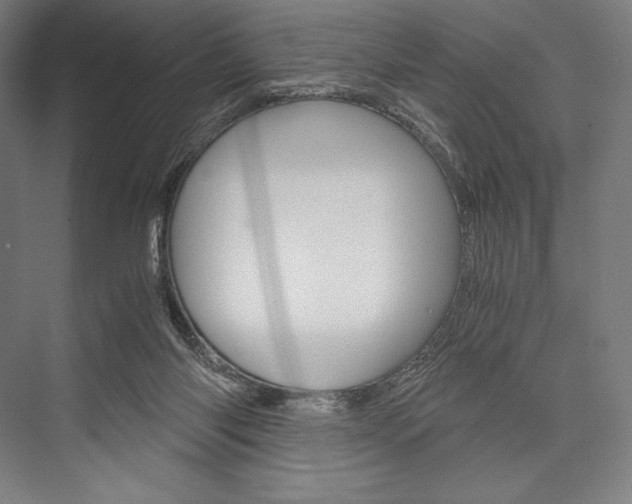 X0000076430118200610061009
