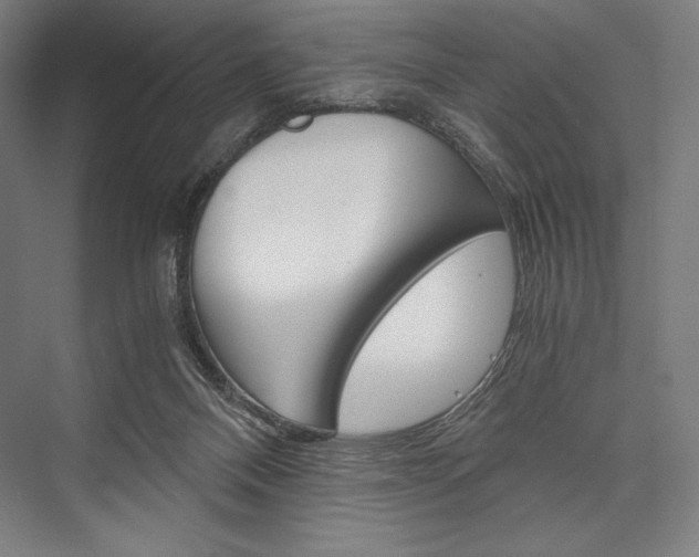 X0000076430120200610061009