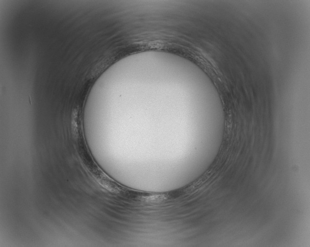 X0000076430122200610061009