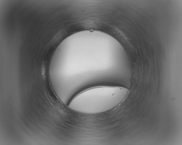 X0000076430124200610061009