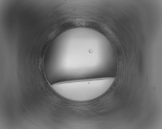 X0000076430125200610061009