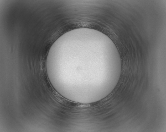 X0000076430126200610061009