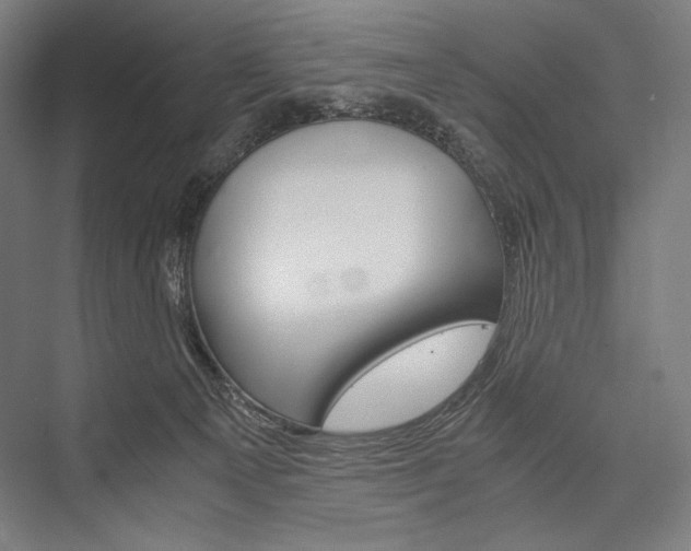 X0000076430129200610061009