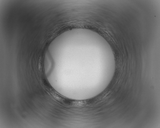 X0000076430131200610061009