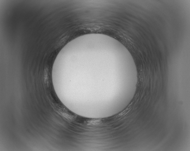 X0000076430132200610061009