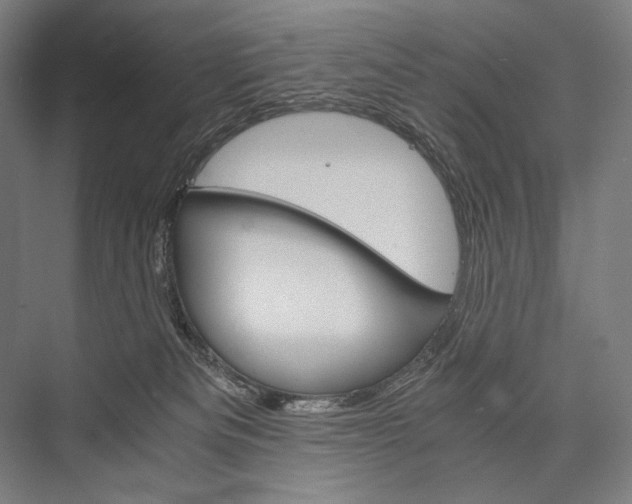X0000076430133200610061009
