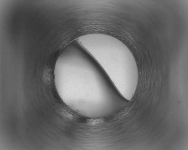 X0000076430135200610061009