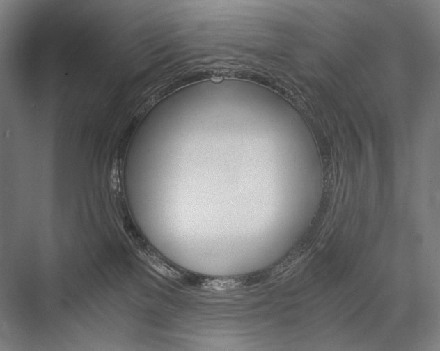 X0000076430137200610061009