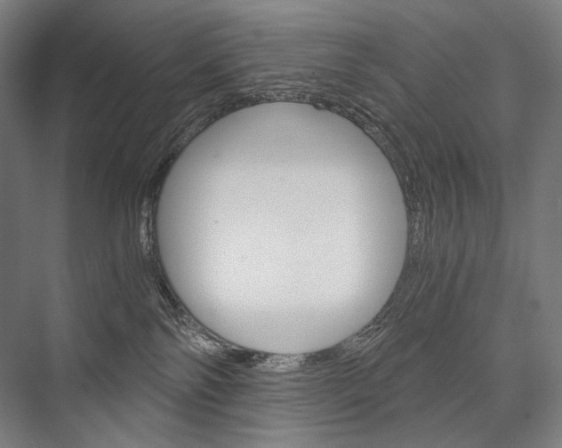X0000076430138200610061009