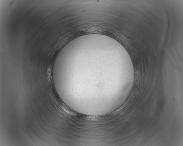 X0000076430142200610061009