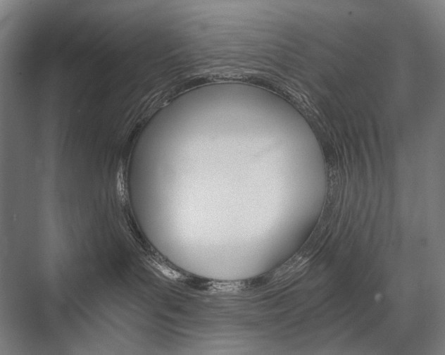 X0000076430143200610061009