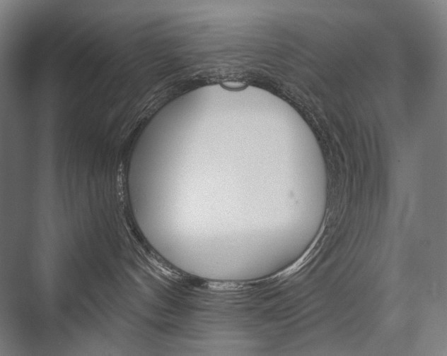X0000076430144200610061009
