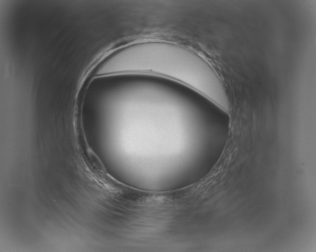 X0000076430152200610061008