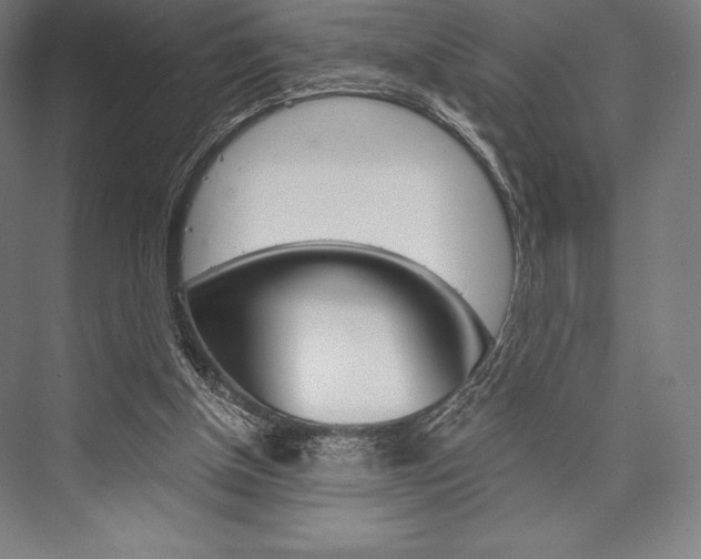 X0000076430154200610061008