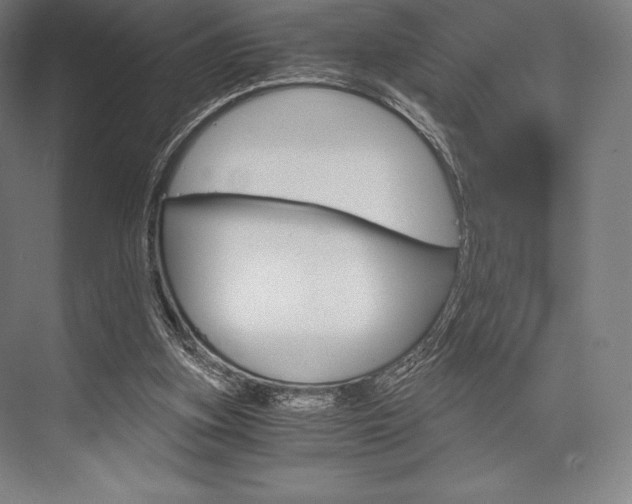 X0000076430155200610061008