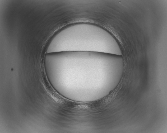 X0000076430159200610061008
