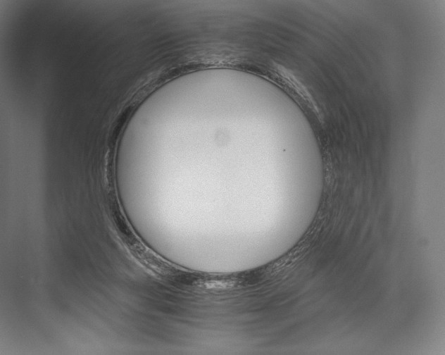 X0000076430163200610061008