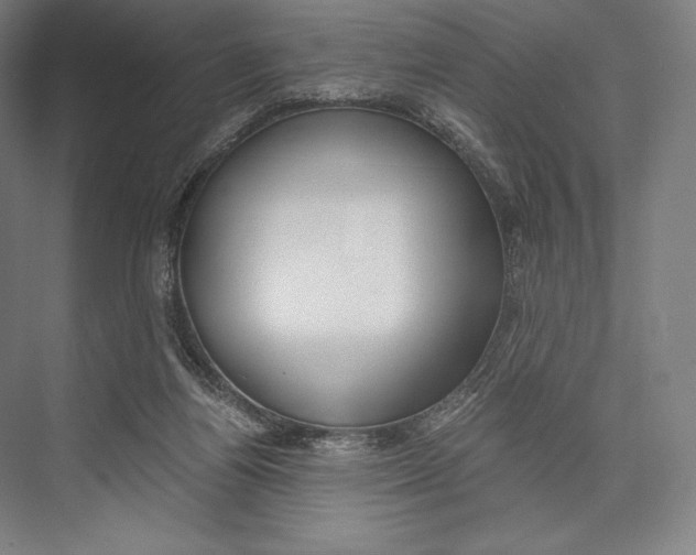 X0000076430164200610061008