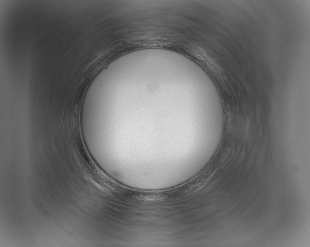X0000076430165200610061008
