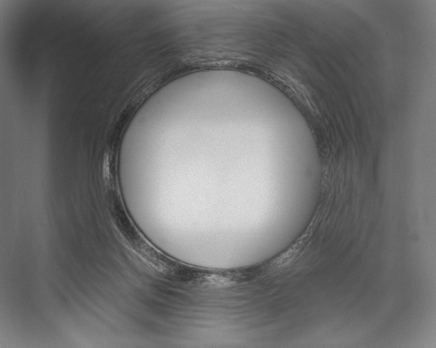 X0000076430166200610061008