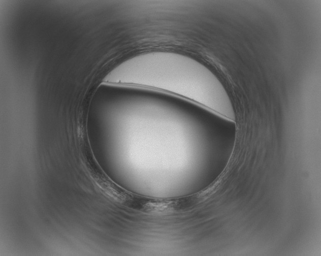 X0000076430170200610061008