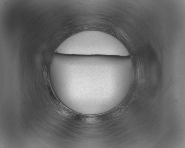 X0000076430173200610061008