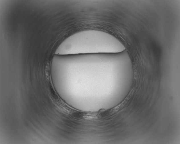 X0000076430175200610061009