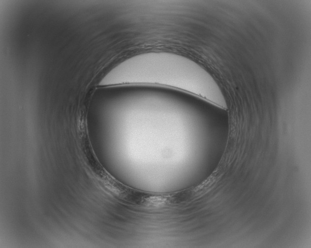 X0000076430176200610061009